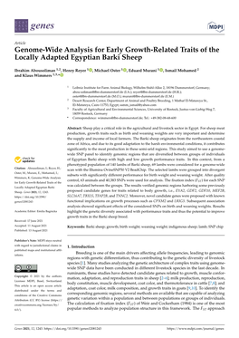Genome-Wide Analysis for Early Growth-Related Traits of the Locally Adapted Egyptian Barki Sheep