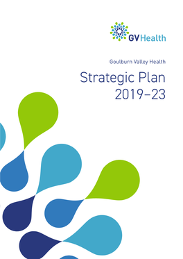 Strategic Plan 2019–23 Goulburn Valley Health