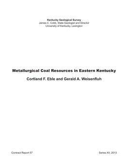 Metallurgical Coal Resources in Eastern Kentucky