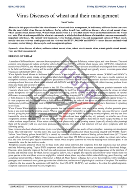 Virus Diseases of Wheat and Their Management