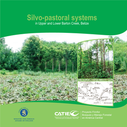 Silvo-Pastoral Systems