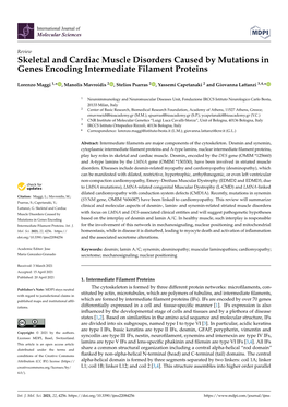 Skeletal and Cardiac Muscle Disorders Caused by Mutations in Genes Encoding Intermediate Filament Proteins