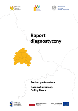 Projekt Raportu Diagnostycznego Obszaru