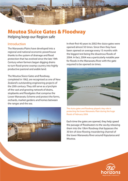 Moutoa Sluice Gates & Floodway