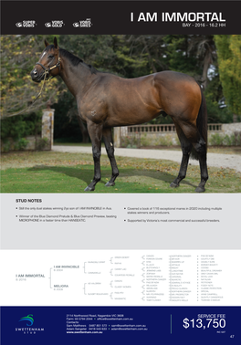 Stallion Brochure