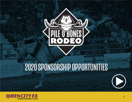 2020 Sponsorship Opportunities