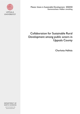 Collaboration for Sustainable Rural Development Among Public Actors In