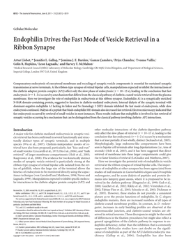 Endophilin Drives the Fast Mode of Vesicle Retrieval in a Ribbon Synapse