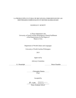 LA PRODUCCIÓN CULTURAL DE BOCAFLOJA COMO REFLEJO DE LAS IDENTIDADES COMPLEJAS EN UN MUNDO GLOBALIZADO DANIELLE F. SCHOTT a Thes