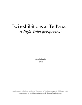 Iwi Exhibitions at Te Papa: a Ngāi Tahu Perspective