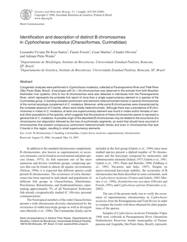 Identification and Description of Distinct B Chromosomes in Cyphocharax Modestus (Characiformes, Curimatidae)