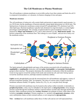 The Cell Membrane Or Plasma Membrane