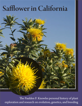 Safflower in California