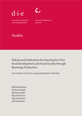 Policies and Institutions for Assuring Pro-Poor Rural Development and Food Security Through Bioenergy Production