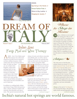 Dreamitaly0210:Layout 1