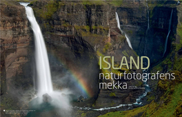 34 NATUR&FOTO Tekst Og Foto: Orsolya Og Erlend Haarberg