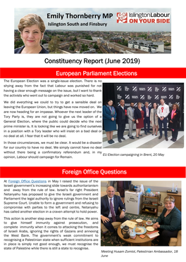 Constituency Report (June 2019) European Parliament Elections the European Election Was a Single-Issue Election