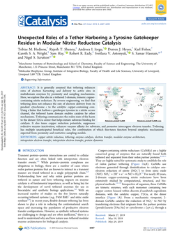 Unexpected Roles of a Tether Harboring a Tyrosine Gatekeeper Residue in Modular Nitrite Reductase Catalysis † ‡ † † † Tobias M