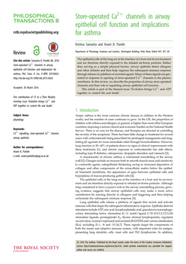 Store-Operated Ca Channels in Airway Epithelial Cell Function And