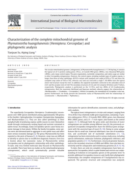 Characterization of the Complete Mitochondrial Genome of Phymatostetha Huangshanensis (Hemiptera: Cercopidae) and Phylogenetic Analysis