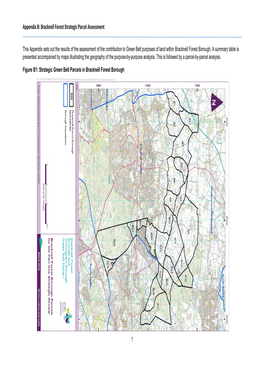 Bracknell Forest Strategic Parcel Assessment