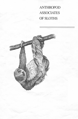 The Hemoflagellates of Sloths Vermilinguas (Anteaters)