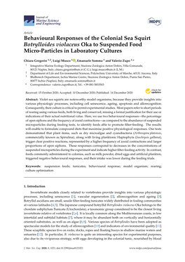 Behavioural Responses of the Colonial Sea Squirt Botrylloides Violaceus Oka to Suspended Food Micro-Particles in Laboratory Cultures