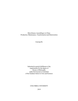 Microfinance Assemblages in China: Production, Maintenance, Transformation and Deterioration