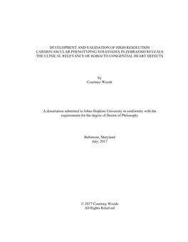 WOODS-DISSERTATION-2017.Pdf