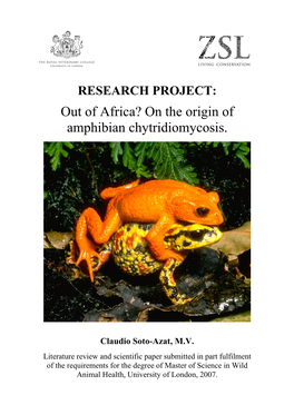 On the Origin of Amphibian Chytridiomycosis