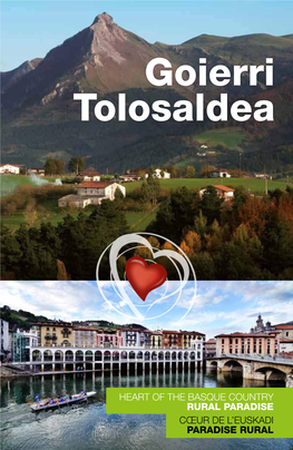 Goierri Tolosaldea