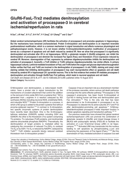 Glur6-Fasl-Trx2 Mediates Denitrosylation and Activation of Procaspase-3 in Cerebral Ischemia/Reperfusion in Rats