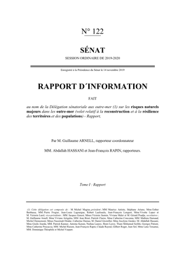 Modèle Pour La Frappe Des Rapports Parlementaires