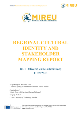 Regional Cultural Identity and Stakeholder Mapping Report