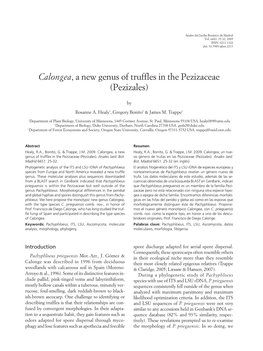 Calongea, a New Genus of Truffles in the Pezizaceae (Pezizales)
