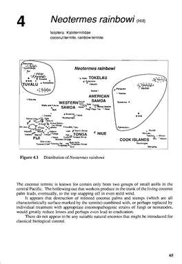 4 Neotermes Rainbowi (Hill) Isoptera: Kalotermitidae Coconut Termite, Rainbow Termite