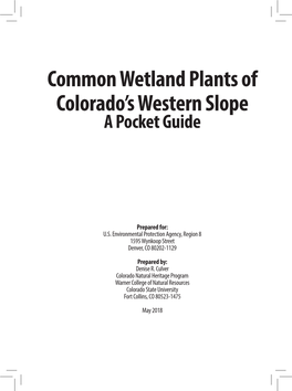 Common Wetland Plants of Colorado's Western Slope