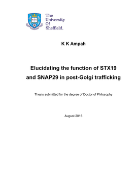 Elucidating the Function of STX19 and SNAP29 in Post-Golgi Trafficking