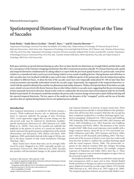 Spatiotemporal Distortions of Visual Perception at the Time of Saccades