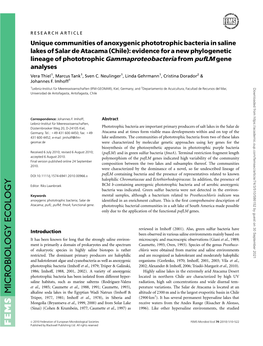 Unique Communities of Anoxygenic Phototrophic Bacteria in Saline