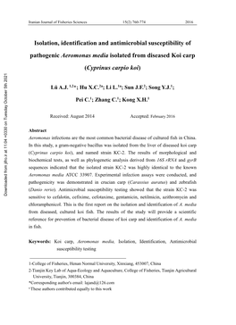 Isolation, Identification and Antimicrobial Susceptibility of Pathogenic Aeromonas Media Isolated from Diseased Koi Carp (Cyprinus Carpio Koi)