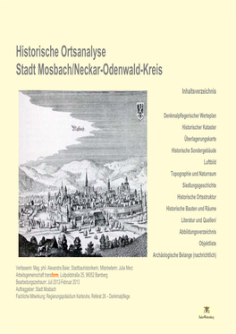 Historische Ortsanalyse Stadt Mosbach/Neckar-Odenwald-Kreis