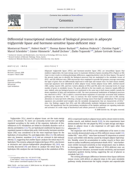 Differential Transcriptional Modulation of Biological Processes in Adipocyte Triglyceride Lipase and Hormone-Sensitive Lipase-Deﬁcient Mice