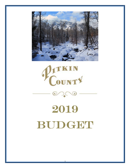 2019 Pitkin County Budget