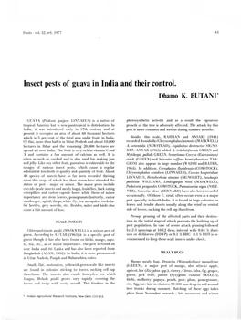 Insect Pests of Guava in India and Their Control