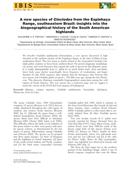 A New Species of Cinclodes from the Espinhao Range, Southeastern Brazil