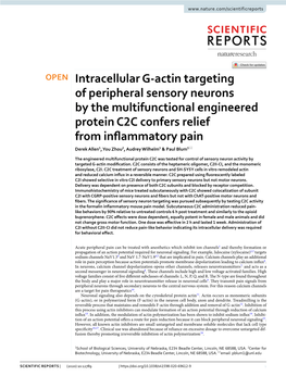 Intracellular G-Actin Targeting of Peripheral Sensory Neurons by The