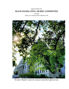 MACD LEGISLATIVE AD HOC COMMITTEE from the Friday, 21St August 2020 Conference Call