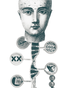 The Human Genome Project