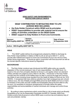 The Duty Holder Construct Within DE&S